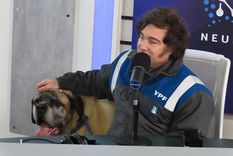 El presidente Javier Milei y su perro Conan.