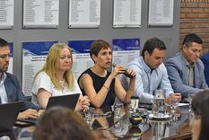 La Legislatura analizó el proyecto de Malargüe Distrito Minero Occidental 2.