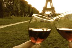 vinos argentinos que tienen raiz francesa vinos argentinos que tienen raiz francesa