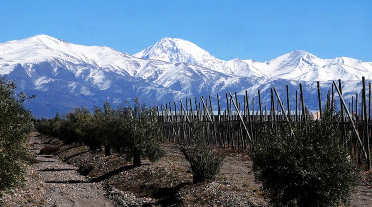 Foto: ALF PONCE MERCADO / MDZ