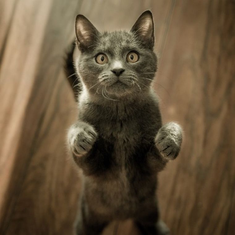 Foto: Foto: Instagram