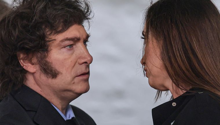 100 días de gestión libertaria. Qué pasó durante esta etapa de Gobierno Foto: EFE