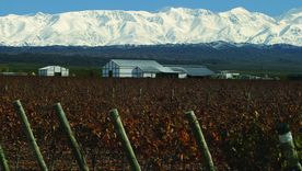 Este es el vino que se destacó entre muchos Malbec de otros países