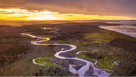 Esta perla en el Sur de Argentina cautiva con sus paisajes y su biodiversidad Foto: yovotopeninsulamitre.com