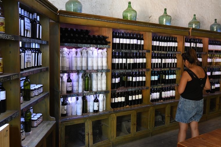 Un nuevo programa se aplicará en todo el país. Foto: ALF PONCE MERCADO / MDZ