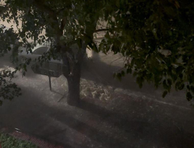 La tormenta en Mendoza generó que Defensa Civil tuviese que realizar 149 intervenciones en el área metropolitana y el Este provincial.