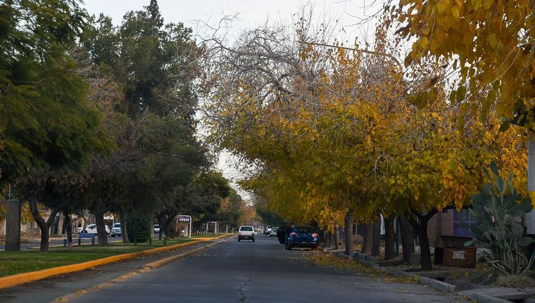 Se espera una jornada muy agradable en Mendoza. Foto: Santiago Tagua/MDZ