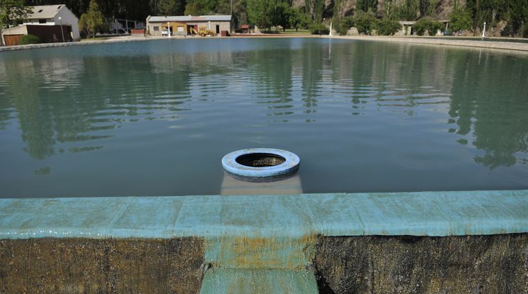 Foto: Nacho Gaffuri / MDZ