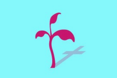 Test de personalidad