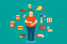 El metabolismo es el proceso por el cual se sintetizan sustancias que se convierten en energía para ser utilizadas por el cuerpo. Foto: Shutterstock