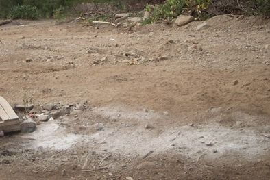 MDZol | Ahora los animales muertos son enterrados entre capas de arena y cal. Foto: MDZ