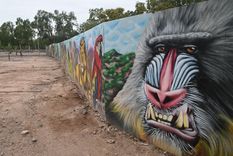 Un gran mural divide la zona abierta al público de la reservada para los mil animales que viven en el Ecoparque.