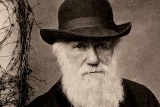 El trabajo de Charles Darwin sobre la teoría de la evolución por selección natural cambió la forma en la que vemos el mundo natural.