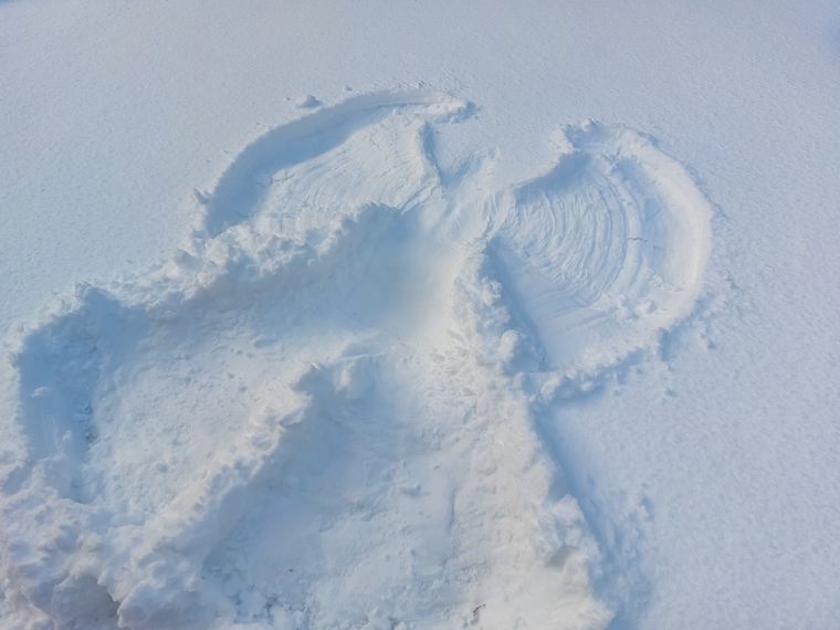 Traen armonía a nuestras vidas. Foto: Fuente: Shutterstock