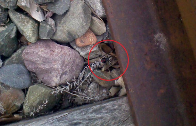 Foto: Facebook/Luzuriaga MAIPÚ Mendoza