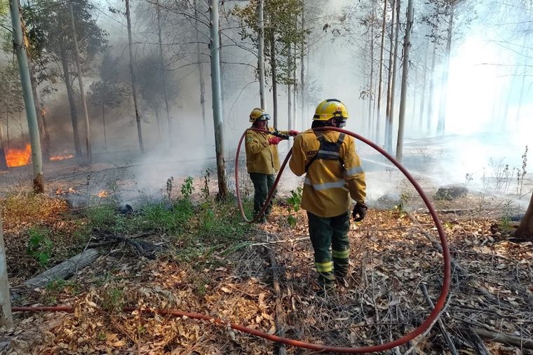 Brigadistas controlaron los focos de incendio que se desataron en Concordia Foto: Gentileza Gobierno de Entre Ríos