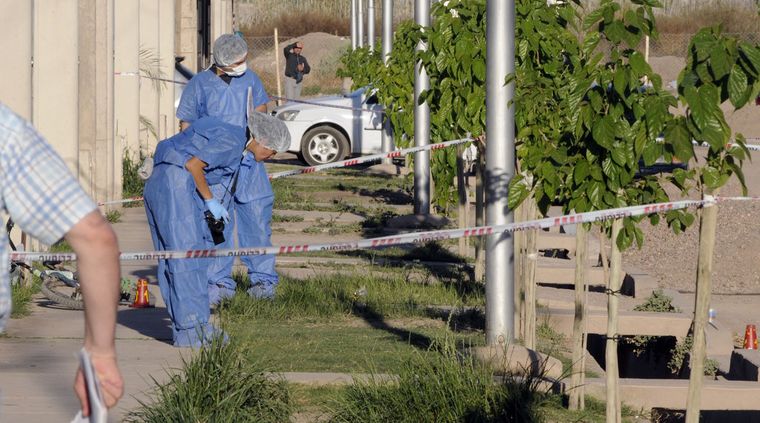 Foto: Alf Ponce / MDZ