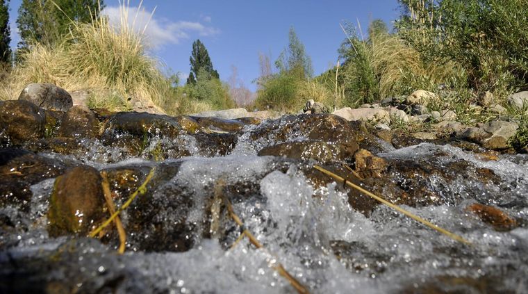 Foto: Nacho Gaffuri / MDZ