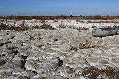 En la Laguna El Viborón había actividades de pesca hace dos años Foto: ALF PONCE MERCADO / MDZ