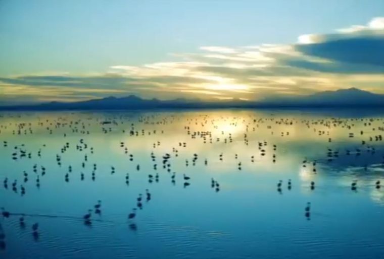 Foto: captura de video