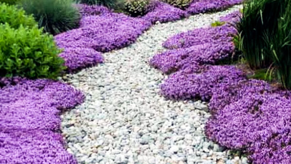 Las cinco plantas que convierten cualquier jardín en un espacio de revista