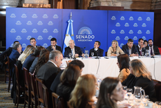 El Gobierno busca avanzar con la ley de Propiedad Privada en el Senado.