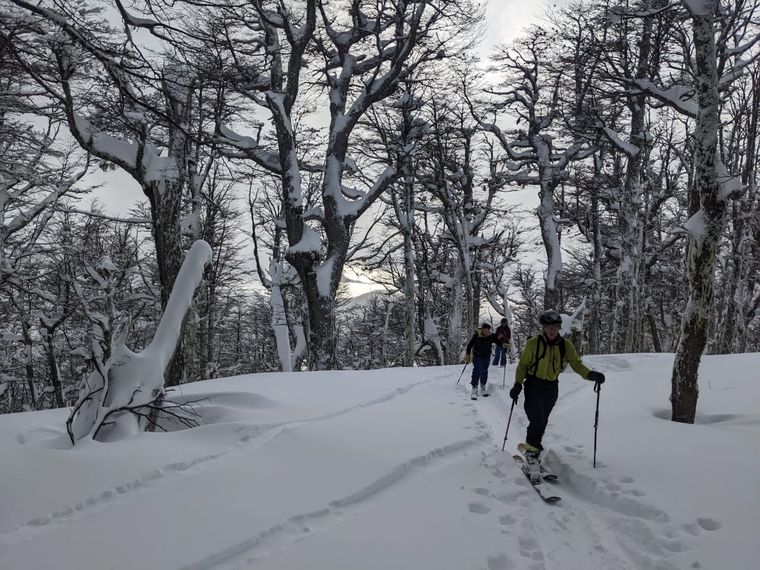 En Cerro Catedral las intensas nevadas han dejado paisajes que sorprenden Foto: Gentileza Manuel Stahringer