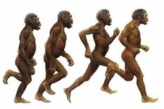 descubren una especie humana aun sin clasificar