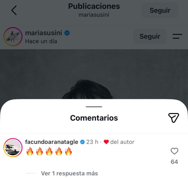El comentario de Arana en la publicación de Susini. El comentario de Arana en la publicación de Susini.