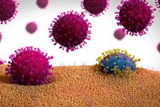 Ilustración de una forma mutada de un coronavirus (azul) que sale de una célula. Foto: GETTY IMAGES