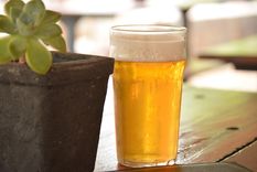 La cerveza es un potente fertilizante casero Foto: Shutterstock