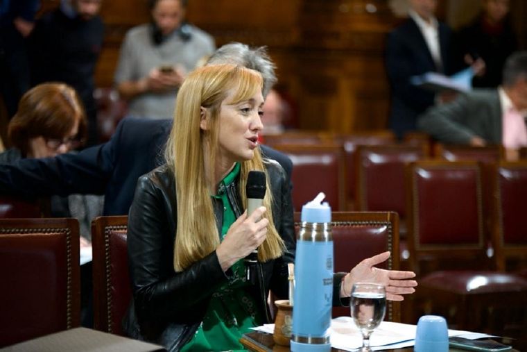 Anabel Fernández Sagasti Foto: Prensa Anabel Fernández Sagasti