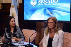 montero confirmada al frente de la comision de economia del senado de la nacion