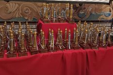 El Premio Nacional Faro de Oro distinguió a un artista en Mar del Plata con una estatuilla inédita que reconoce su trayectoria y proyección internacional.