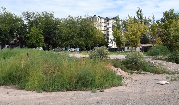Dentro del terreno, entre los yuyos, puede verse una especie de platea de cemento que parece haber pertenecido a otro edificio dentro del lugar. Dentro del terreno, entre los yuyos, puede verse una especie de platea de cemento que parece haber pertenecido a otro edificio dentro del lugar.
