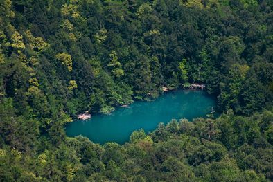 MDZol | El nutriente que permite a los bosques tropicales crecer el doble de rápido