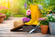 JARDÍN Foto: SHUTTERSTOCK