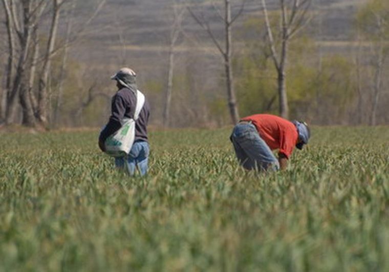 Una ajera infringe la ley. Foto: Ulises Naranjo / MDZ