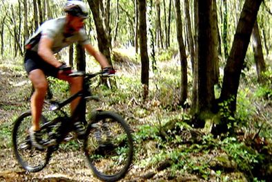 MDZol | Foto: Andrea Pelleriti