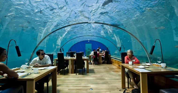 Así, tal como se ve. En Maldivas un restaurante ofrece la posibilidad de almorzar o cenar rodeado de peces y tiburones. Foto: thrillist.com