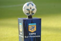Otro club se queda sin entrenador Foto: Liga Profesional