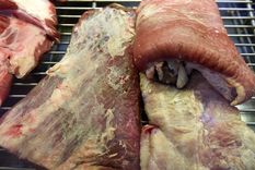 Foto: ALF PONCE MERCADO / MDZ