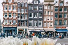 las 20 cosas para ver y hacer en amsterdam