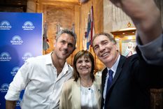 Santilli, Bullrich y Santilli en el Senado