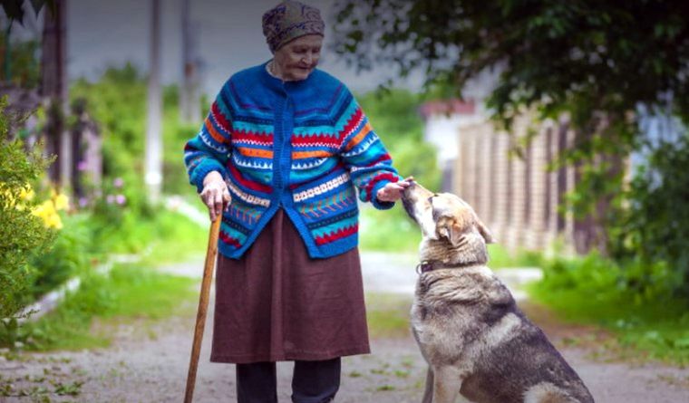 El Día de los Abuelos se celebra cada 26 de julio Foto: Agencia EFE