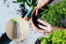 JARDÍN EL TRAPEADOR PUEDE SER REUTILIZADO EN EL JARDÍN. Foto: SHUTERSTOCK