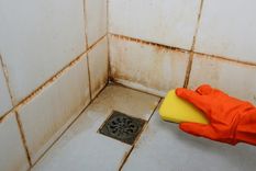 Con este tip de limpieza las juntas de la casa quedarán como nuevas Foto: Shutterstock