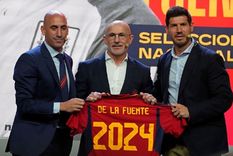 que dijo luis de la fuente sobre las revelaciones de luis enrique en el streaming