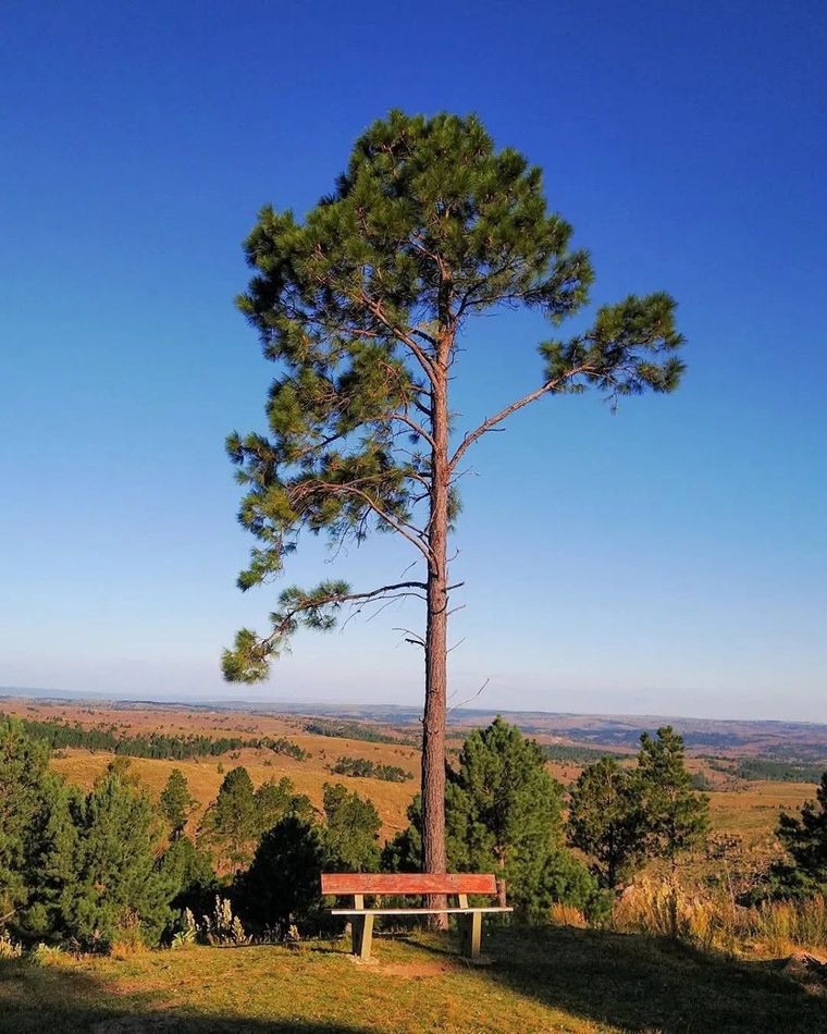 Villa Alpina es un pequeño pueblo de Córdoba ubicado a los pies del Cerro Champaquí.