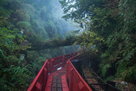 Estas aguas termales se encuentran en un lugar único de Chile Foto: shutterstock
